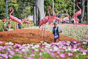 BIB: 
                            <button type="button" onclick="openModal(27806530)" class="btn btn-primary btn-sm float-right btn-popup" data-toggle="modal" data-target=".modal-high-quality">
                        <i class="fas fa-shopping-cart"></i> Add to Cart
                    </button>
                                            <button type="button" onclick="isThisMe(27806530, true)" class="btn btn-success btn-sm float-right btn-popup btn-isme hidden" data-toggle="tooltip" data-placement="bottom" title="นี่คือรูปของคุณใช่ไหม คลิกที่นี่เพื่อเอาเข้าอัลบั้ม">
                        <i class="fas fa-plus"></i> Add to album
                    </button>
                    <button type="button" onclick="isThisMe(27806530, false)" class="btn btn-warning btn-sm float-right btn-popup btn-isnotme hidden">
                        <i class="fas fa-ban"></i> Remove from album
                    </button>